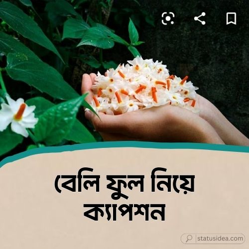 বেলি ফুল নিয়ে ক্যাপশন
