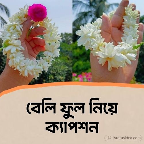 বেলি ফুল নিয়ে ক্যাপশন