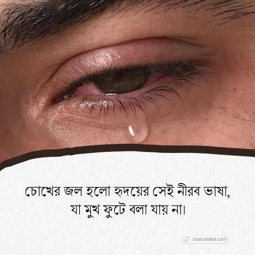 অশ্রু নিয়ে ক্যাপশন